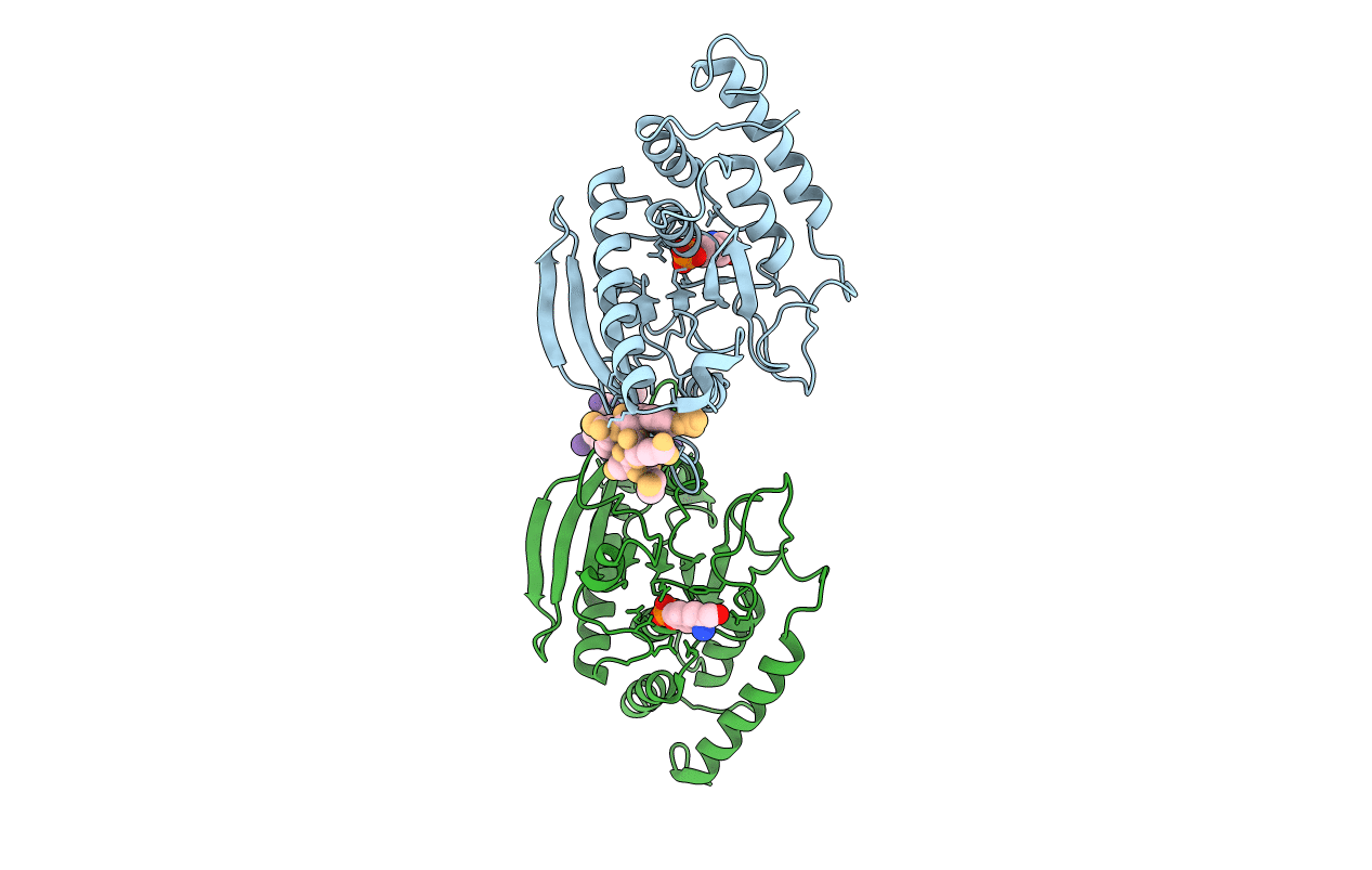 1XXP image