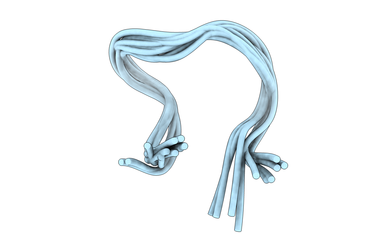 1XY9 image