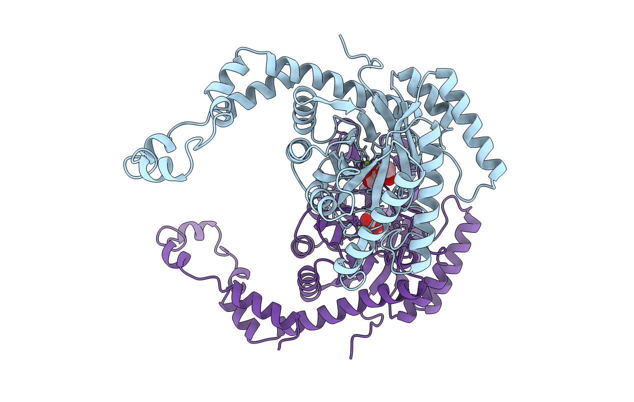 1XYB image