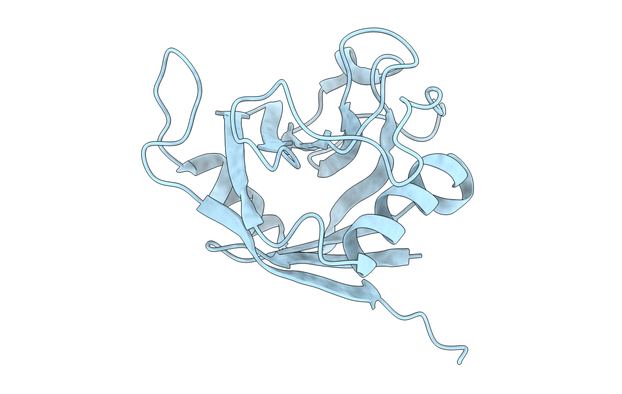 1XYH image