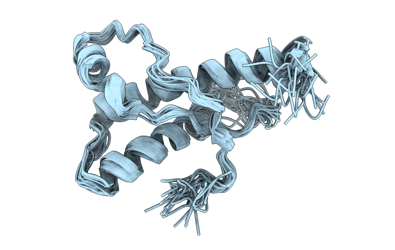 1XYJ image