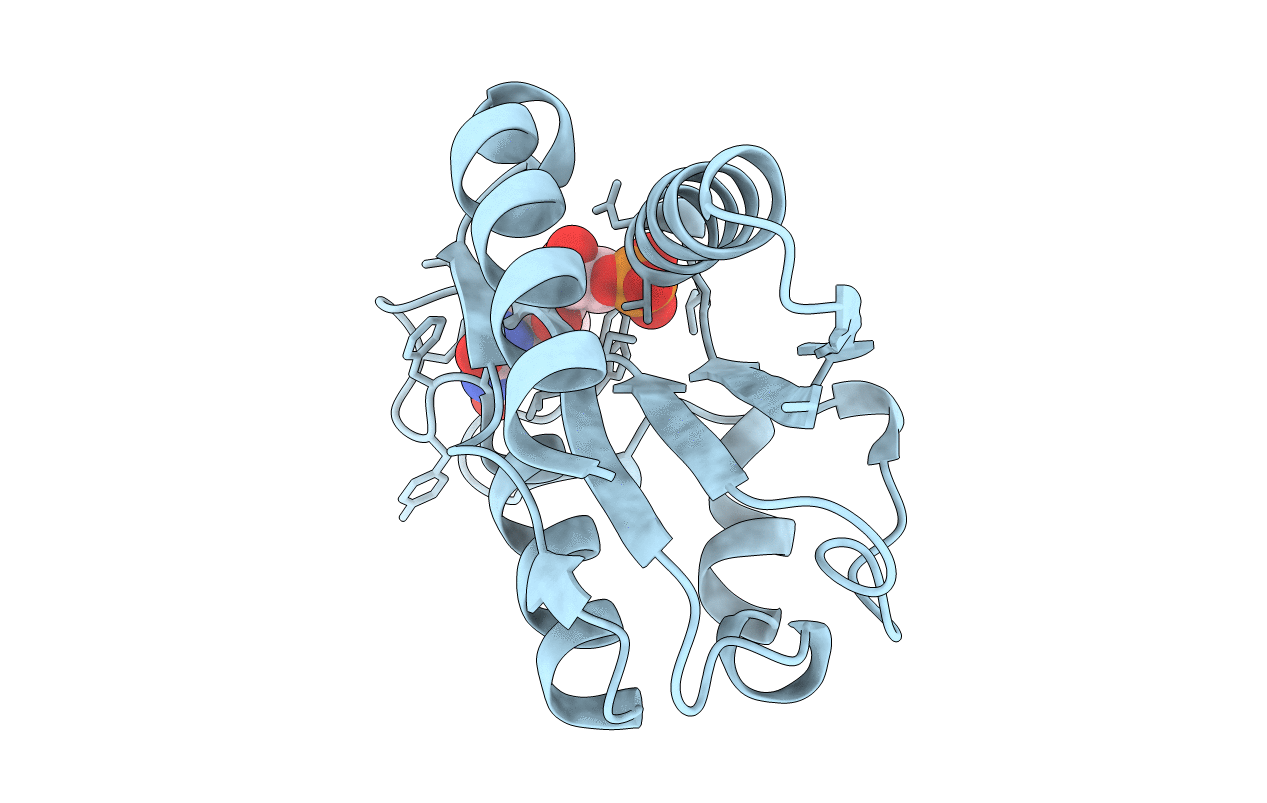 1XYV image
