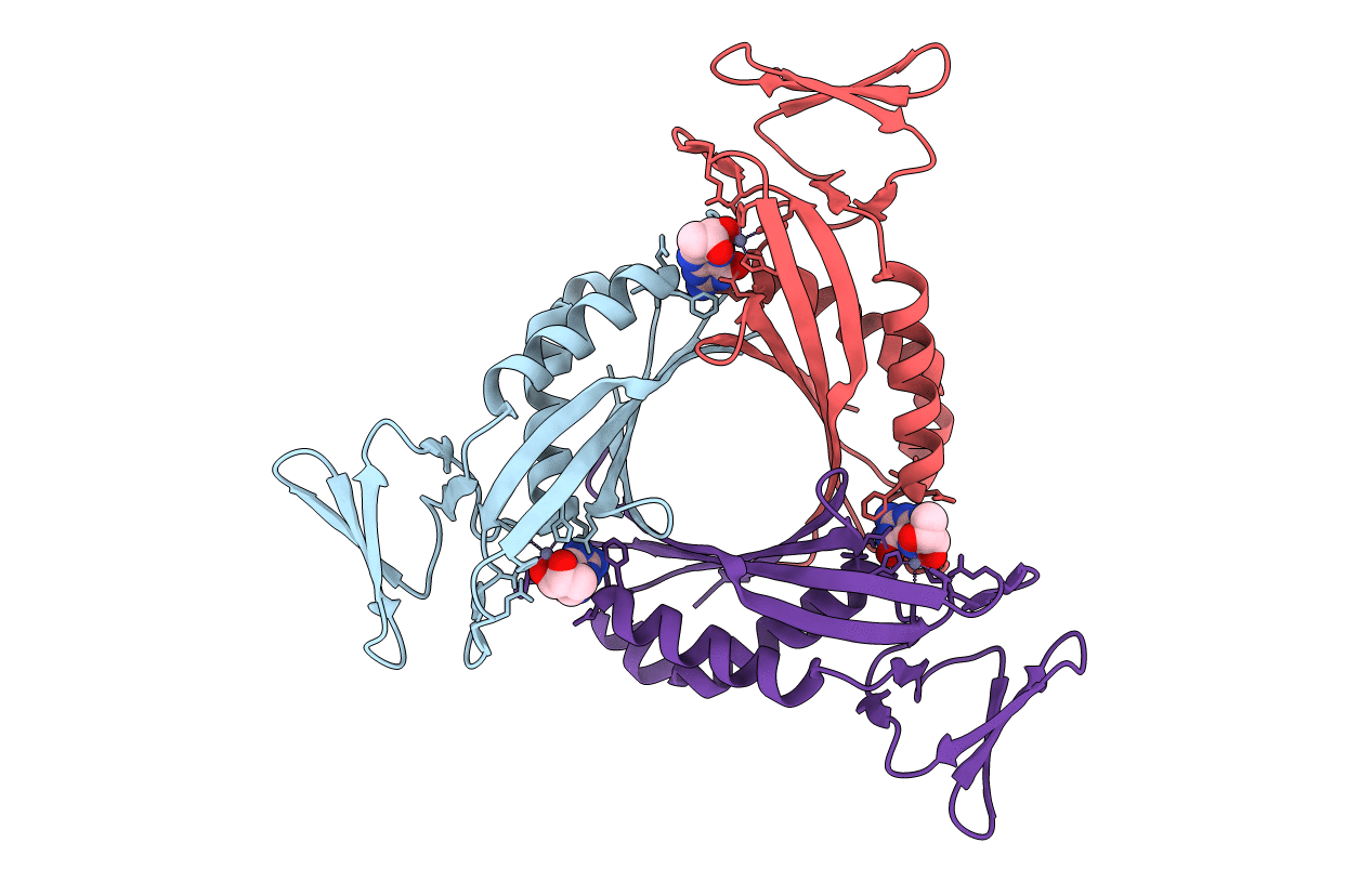 1Y13 image