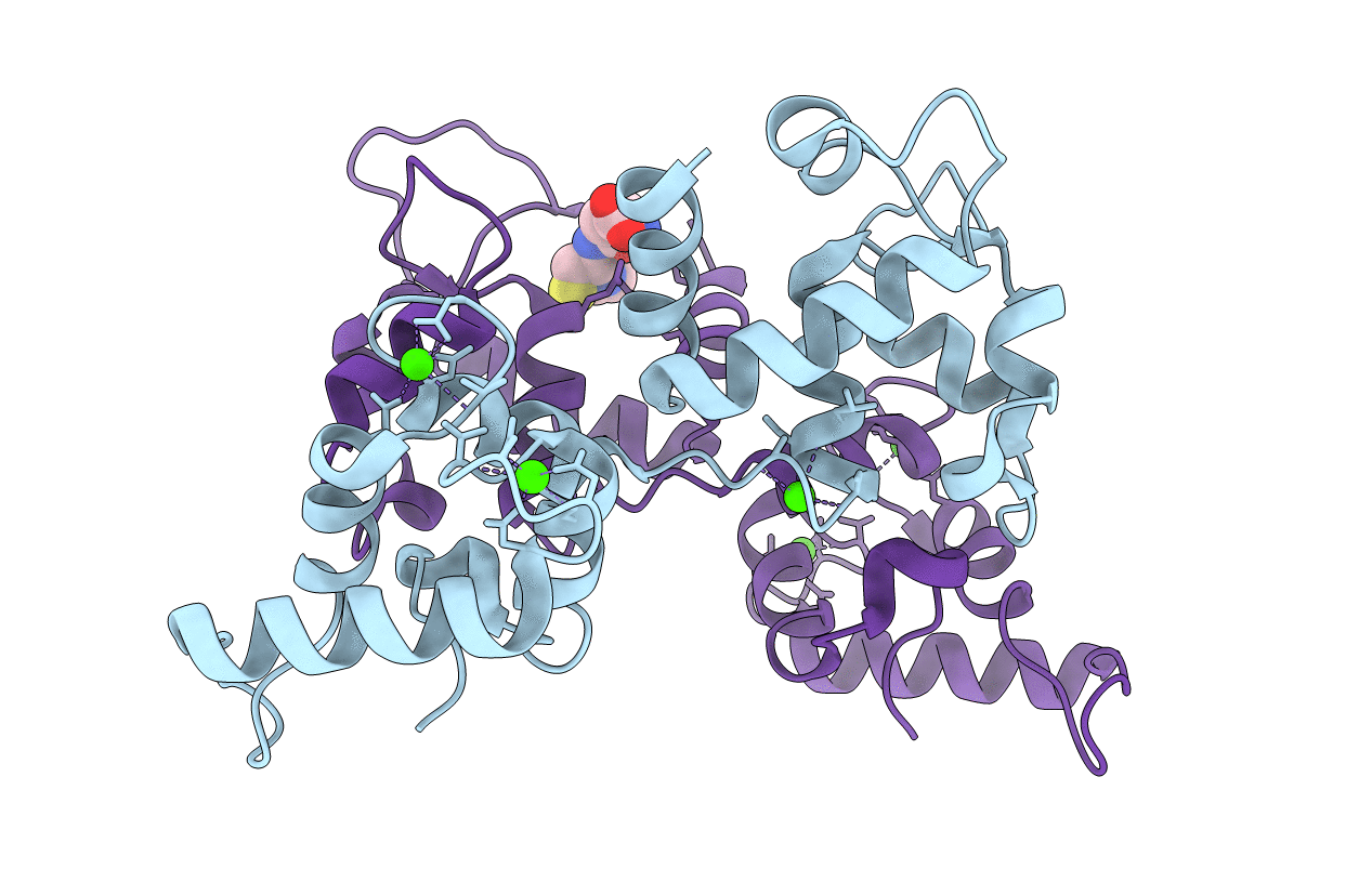 1Y1A image