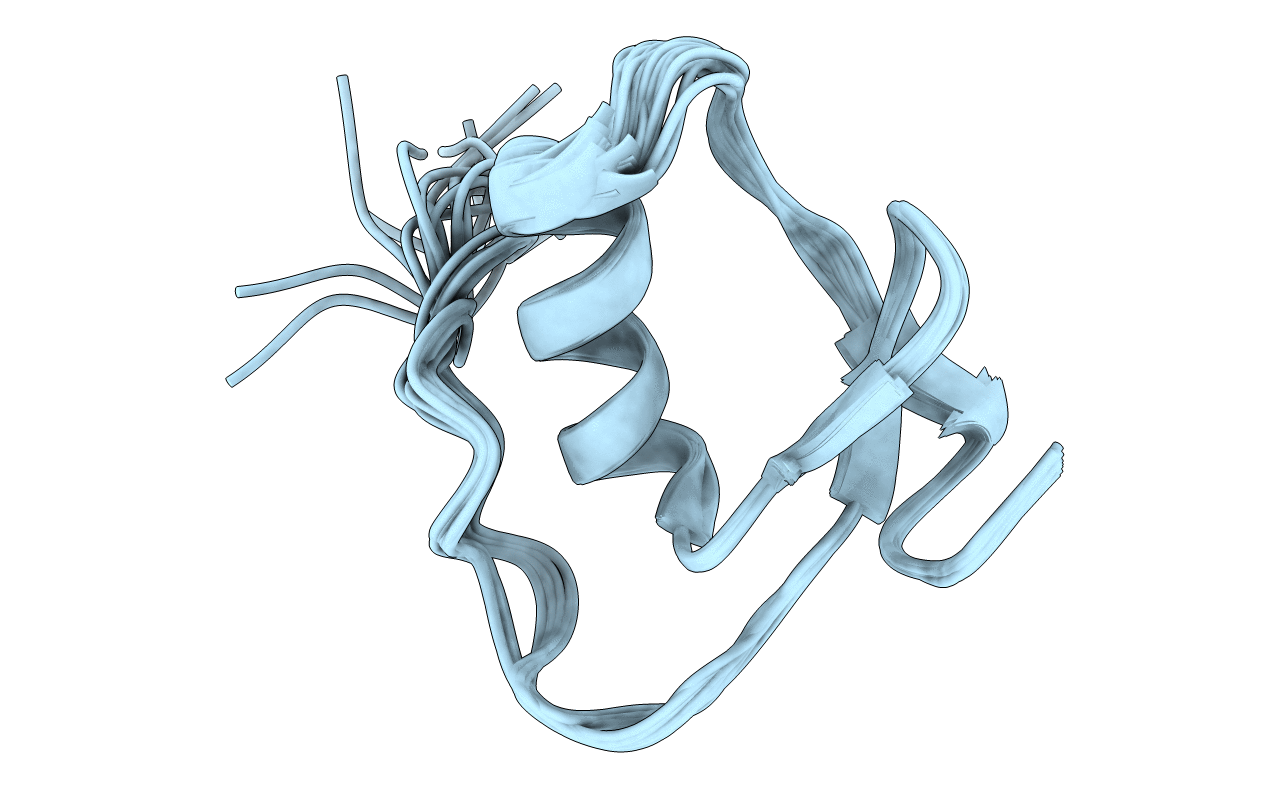 1Y1C image