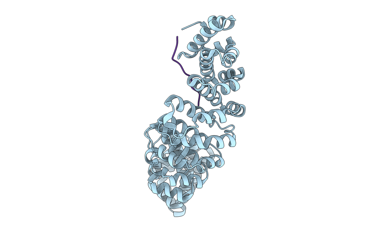 1Y2A image