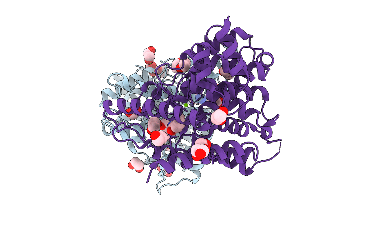 1Y2B image