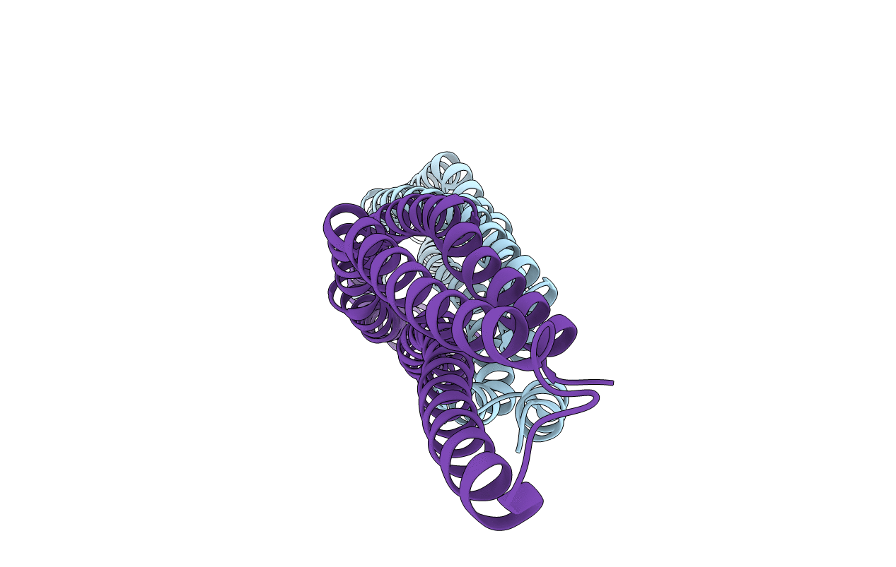 1y2o image