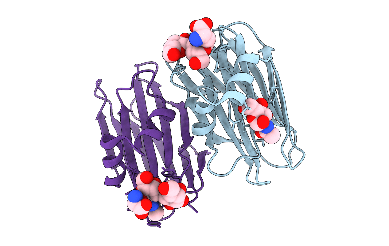 1Y2W image