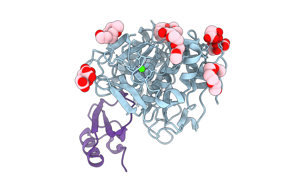 1Y3C image
