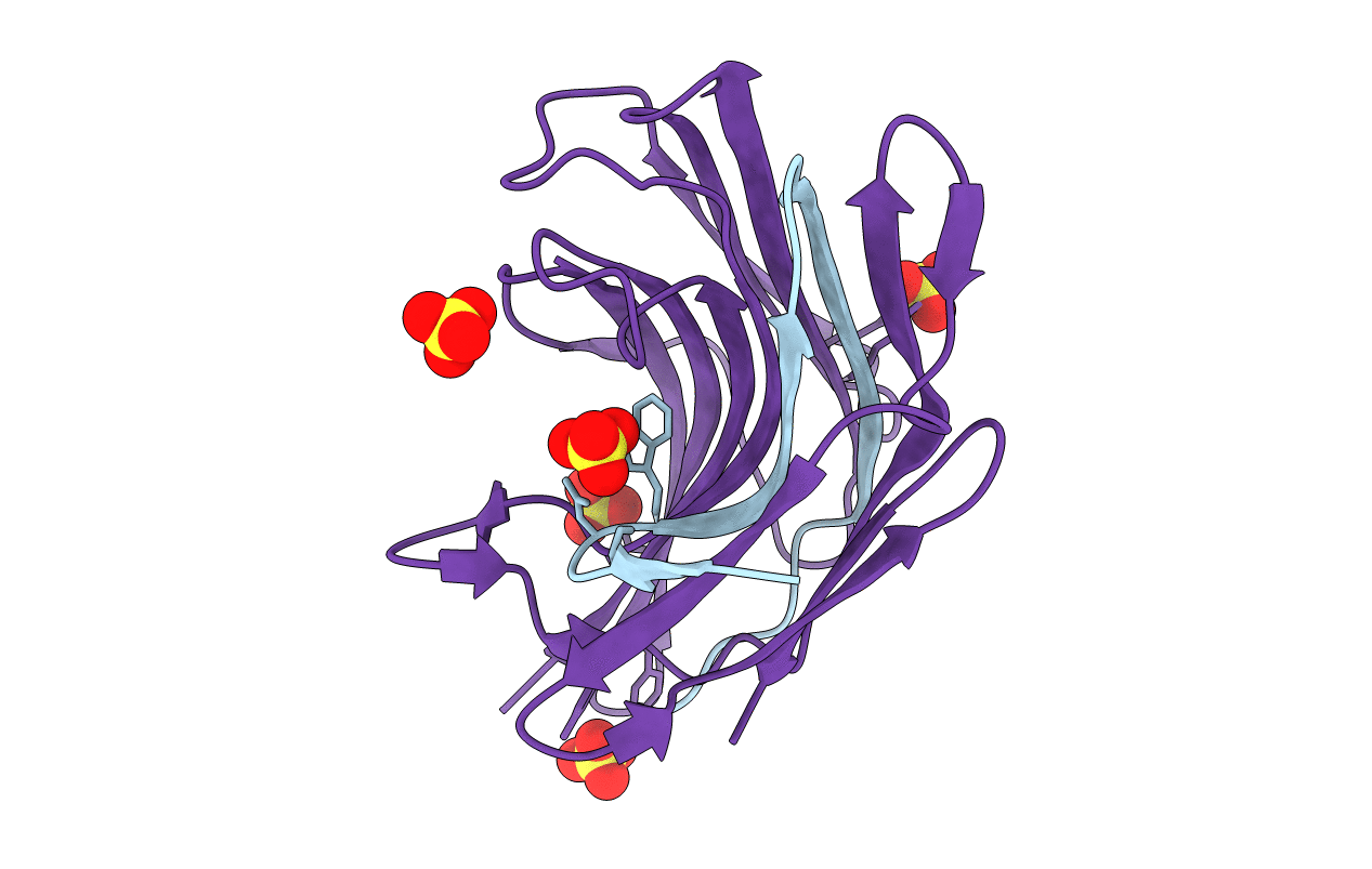 1Y43 image