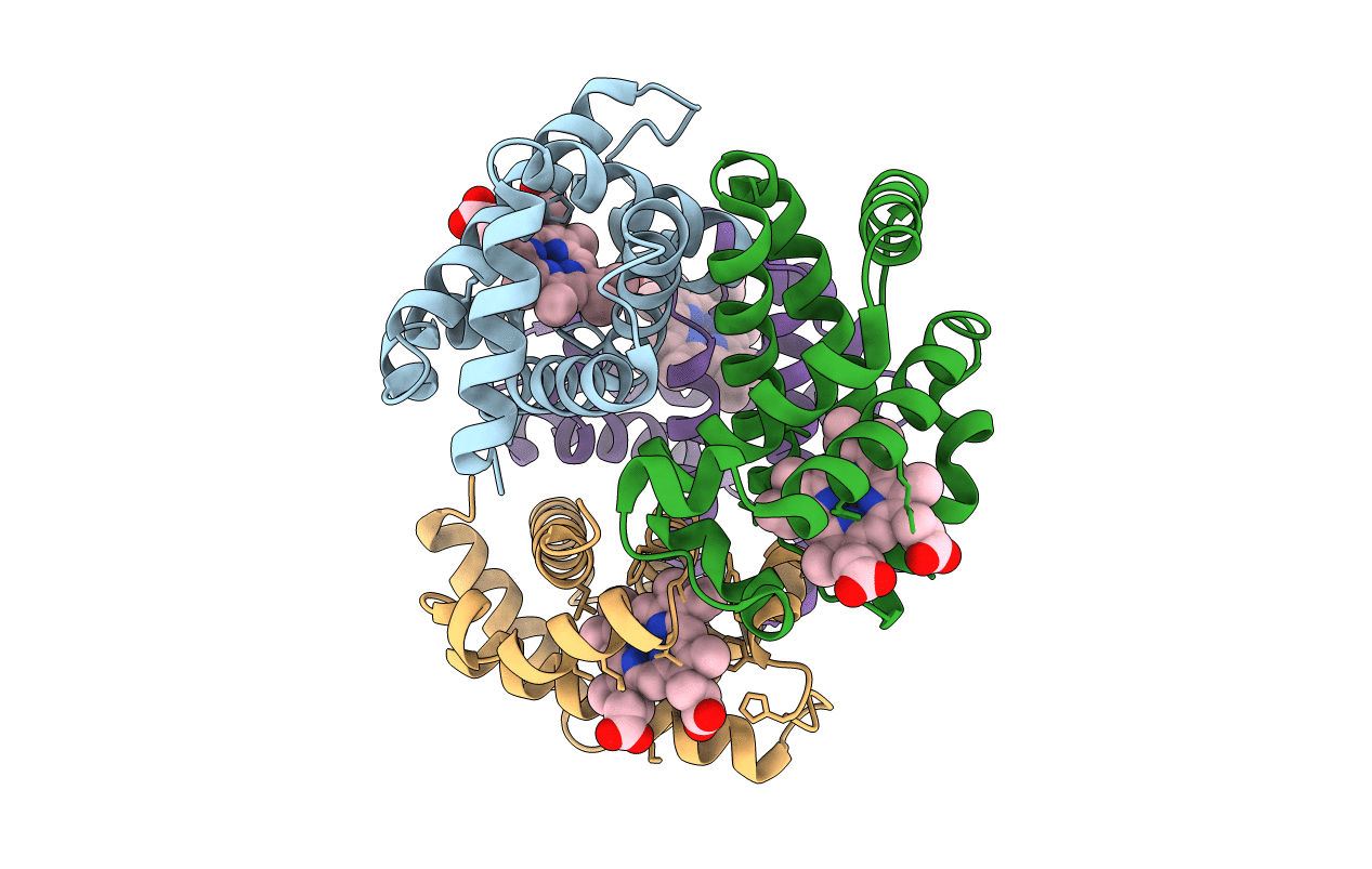 1Y4B image