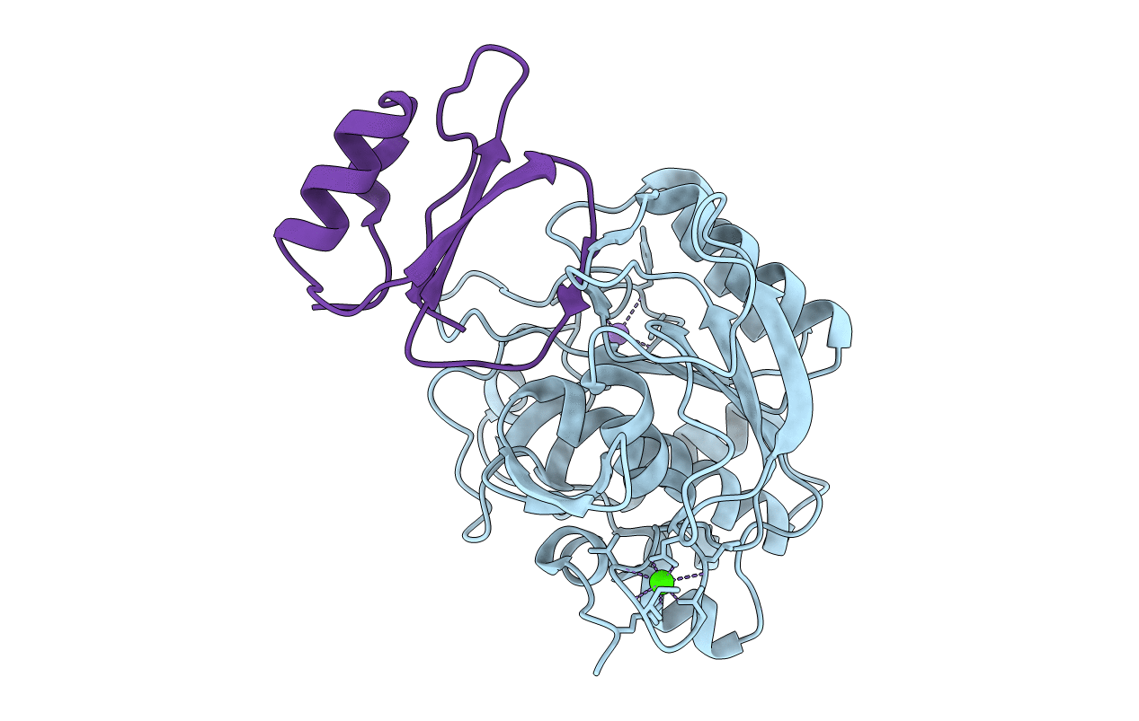 1Y4D image