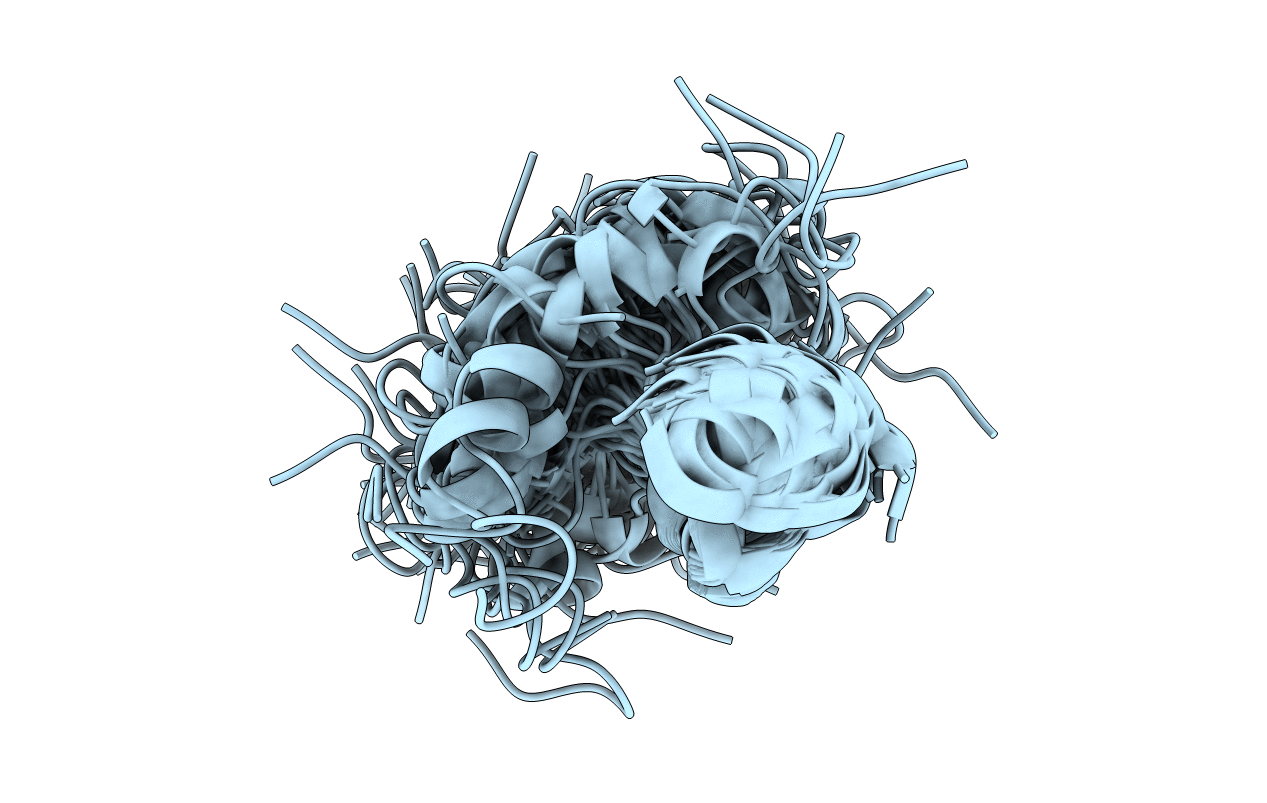 1Y4E image