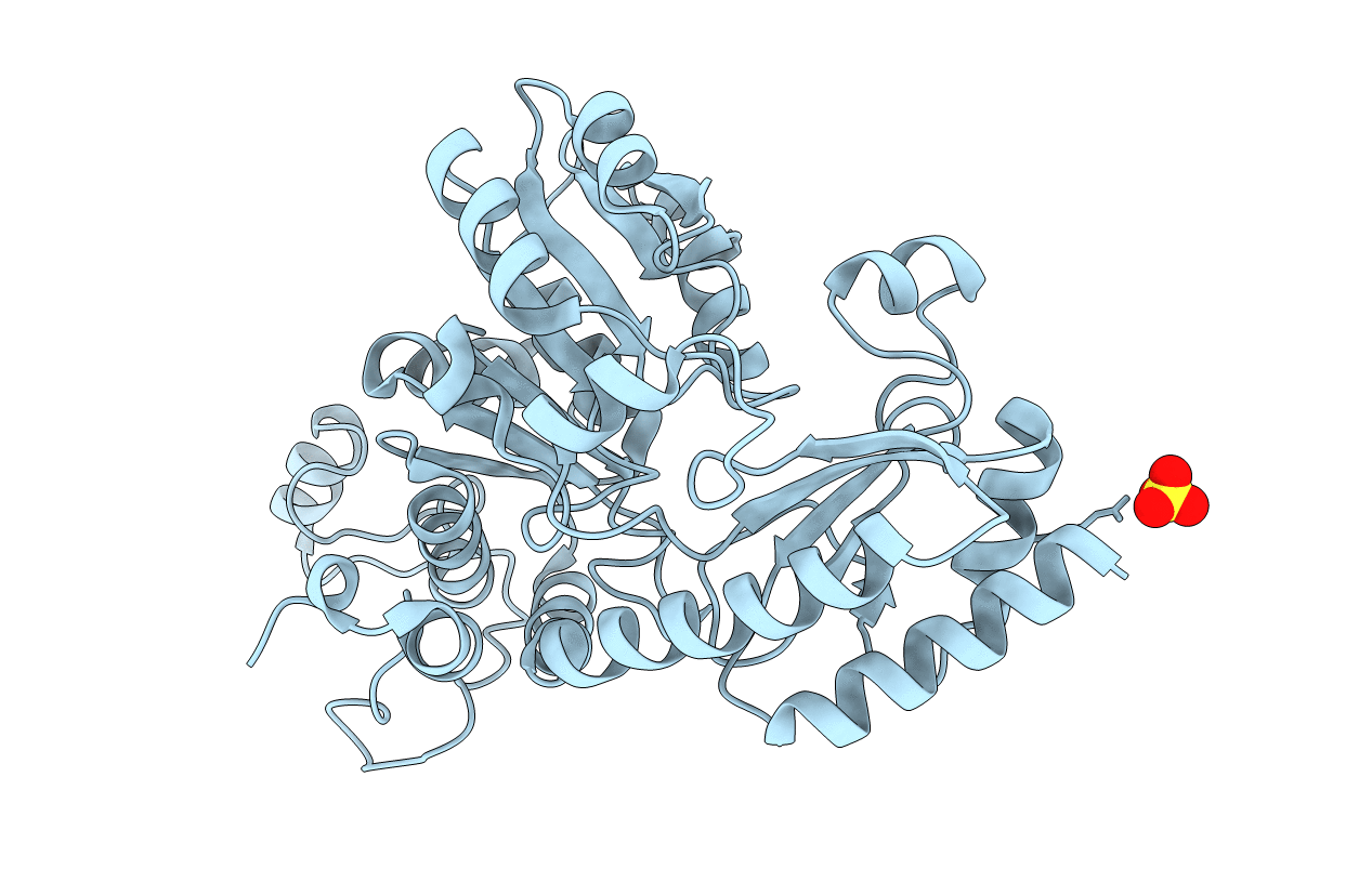 1Y4I image