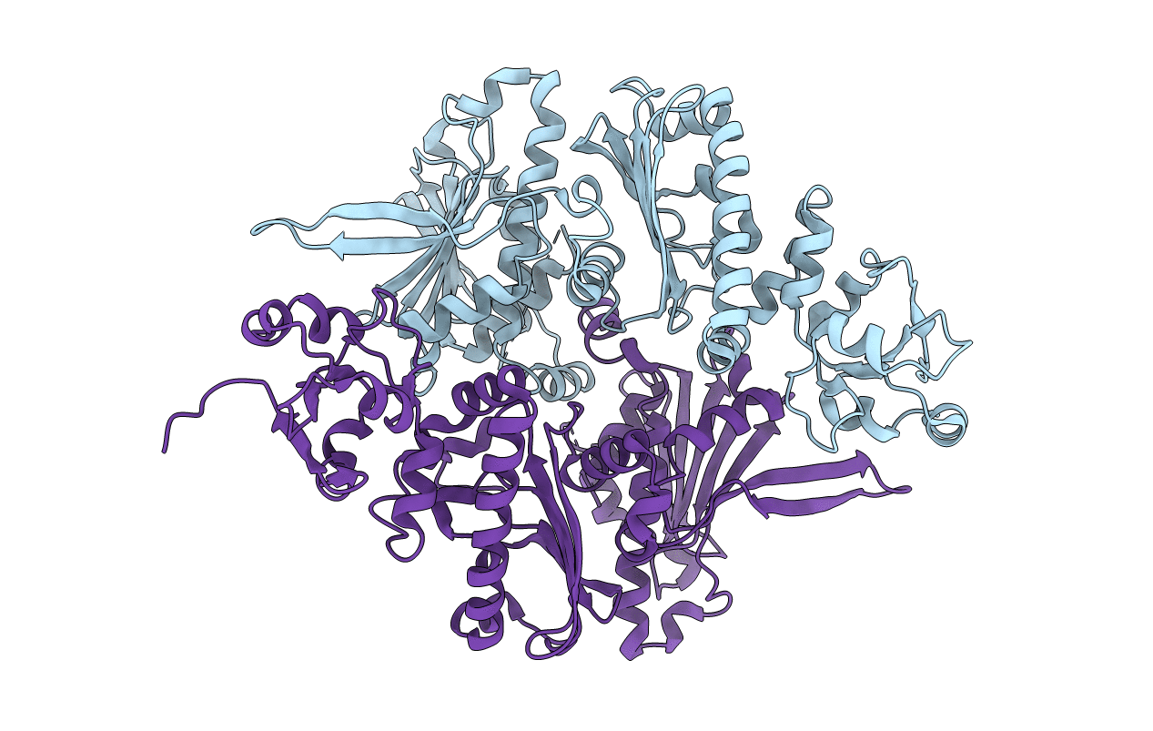 1Y4U image