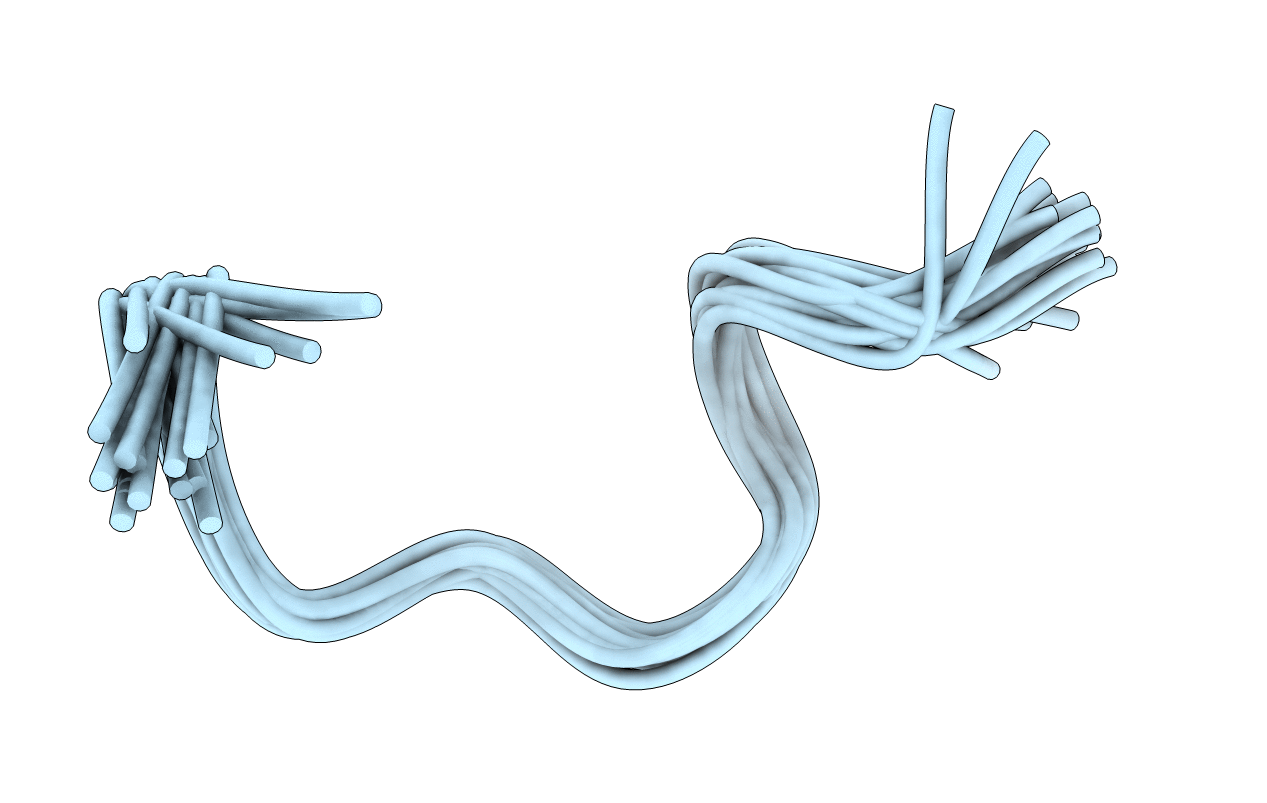 1Y5C image