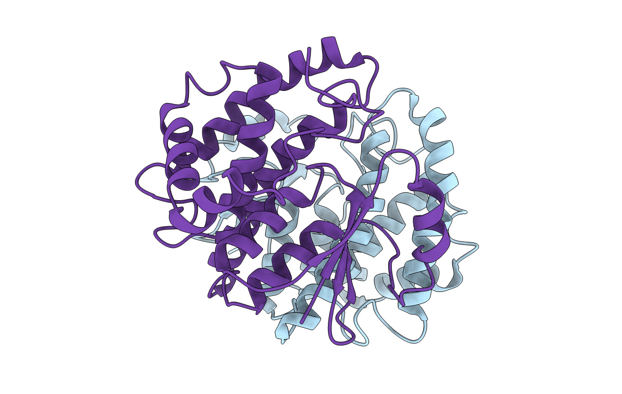 1Y6E image