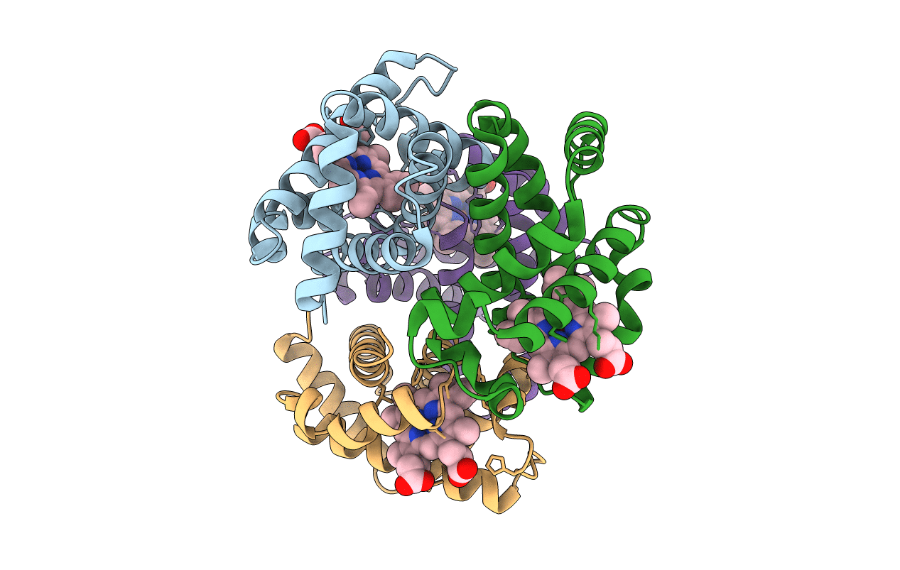 1Y7D image