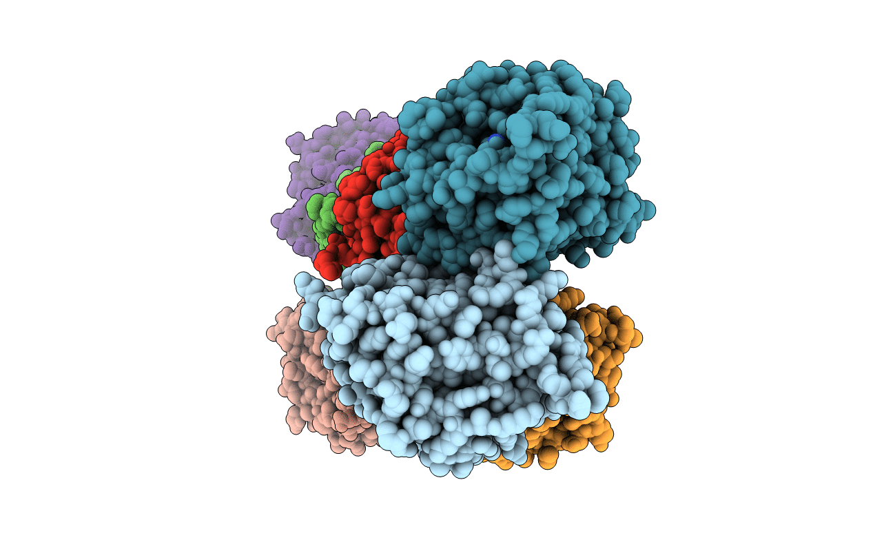 1Y7H image