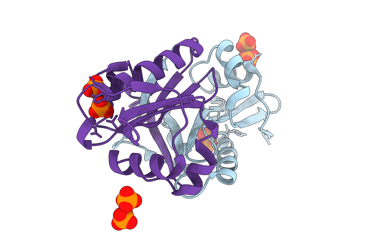 1Y7R image