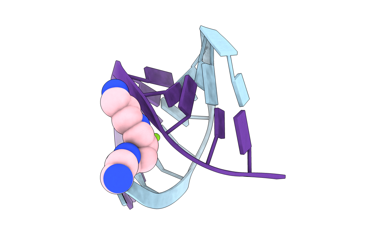 1Y84 image