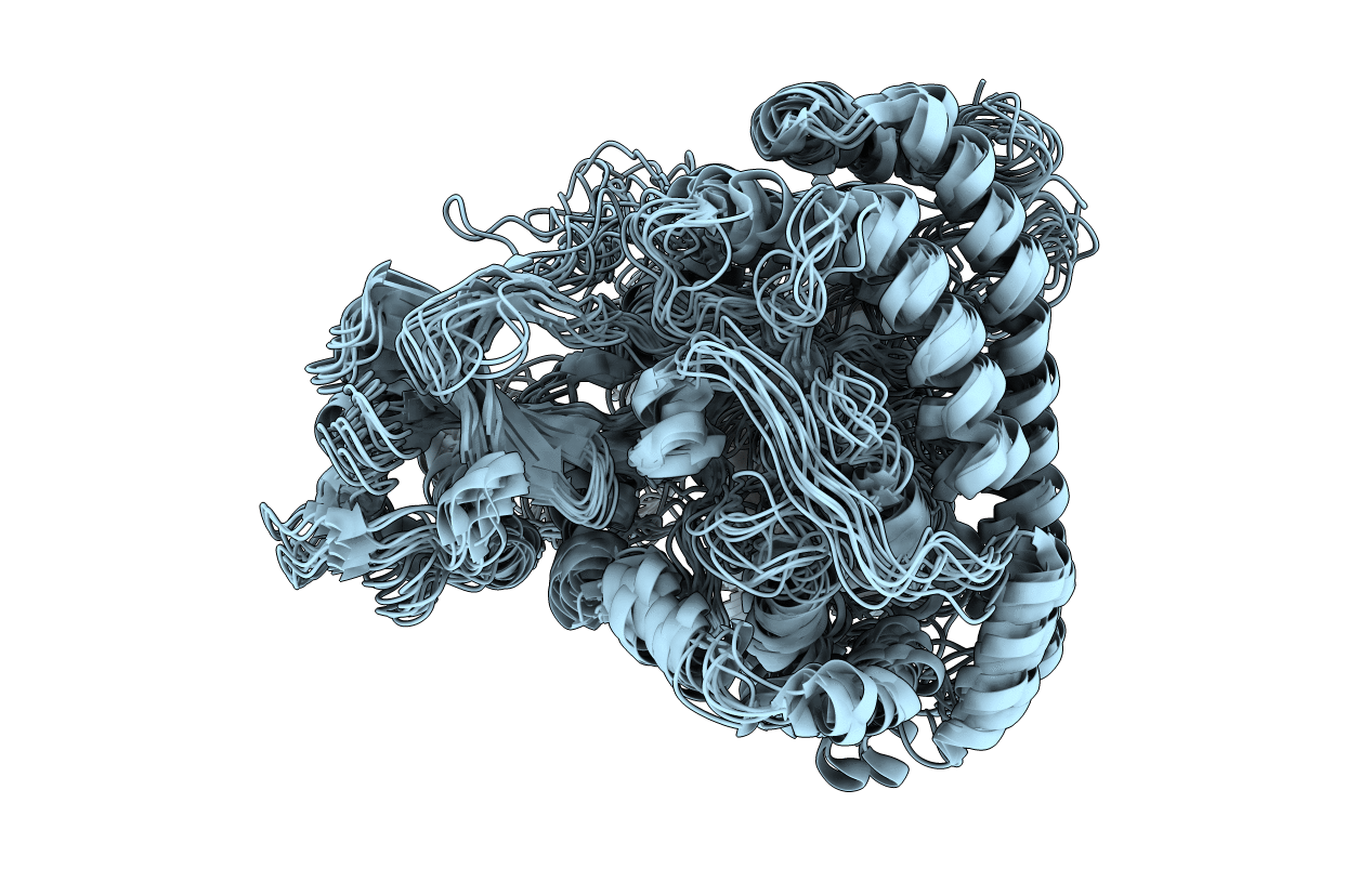 1Y8B image