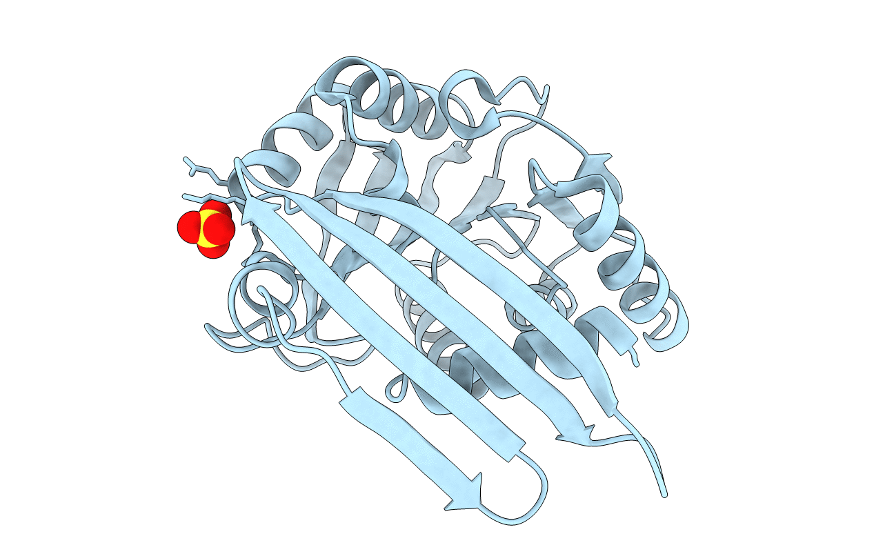 1Y8C image