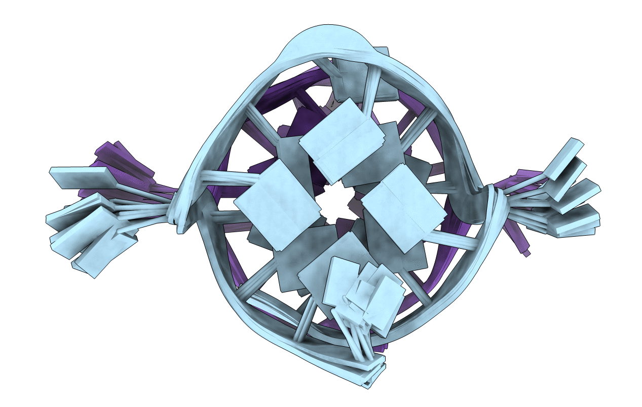 1Y8D image