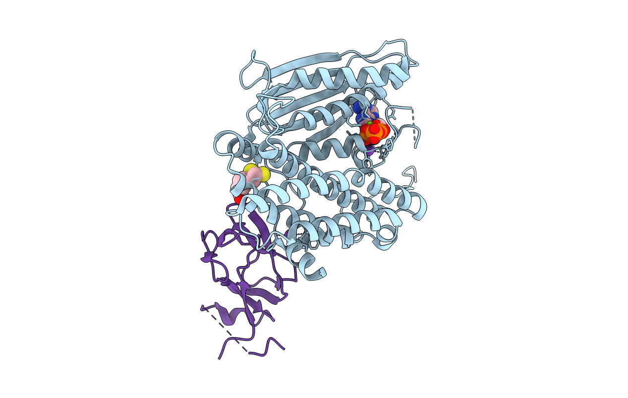 1Y8P image