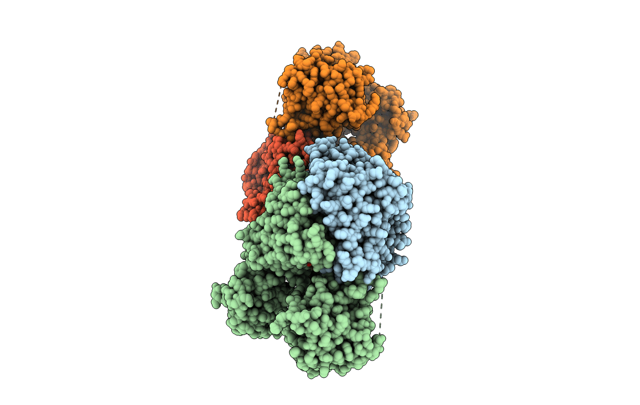1Y8R image
