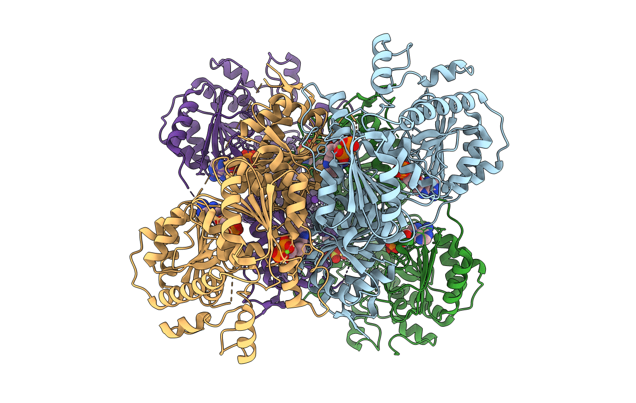 1Y9D image