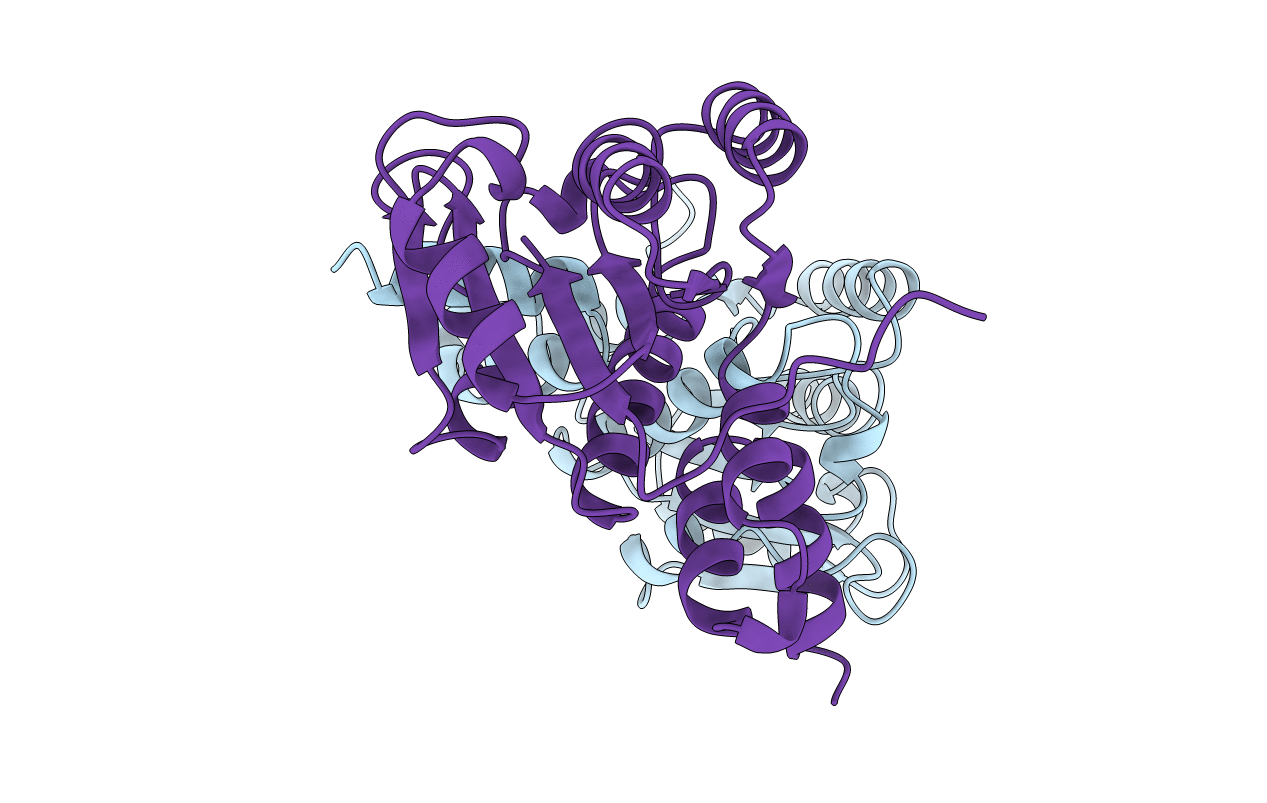 1YAC image