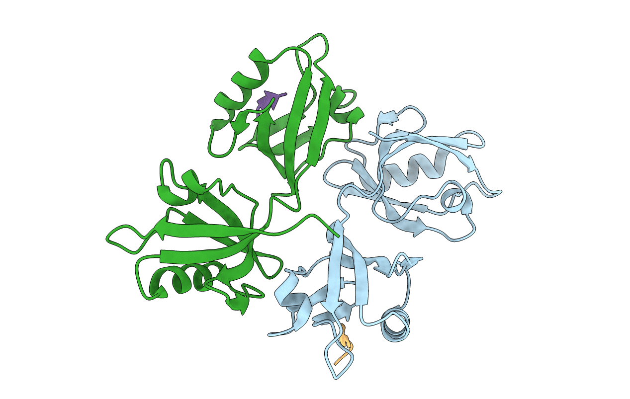 1YBO image