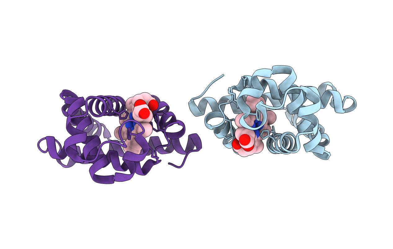 1YCB image