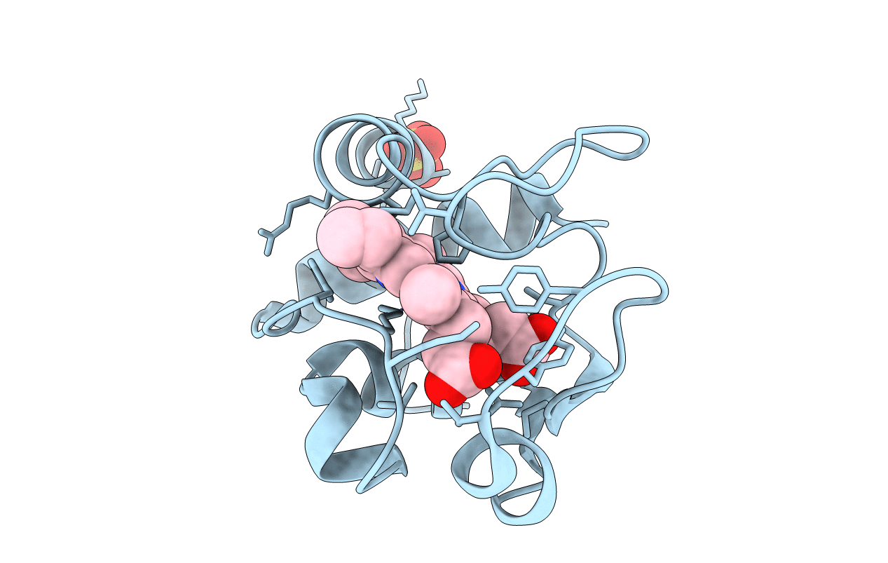 1YCC image
