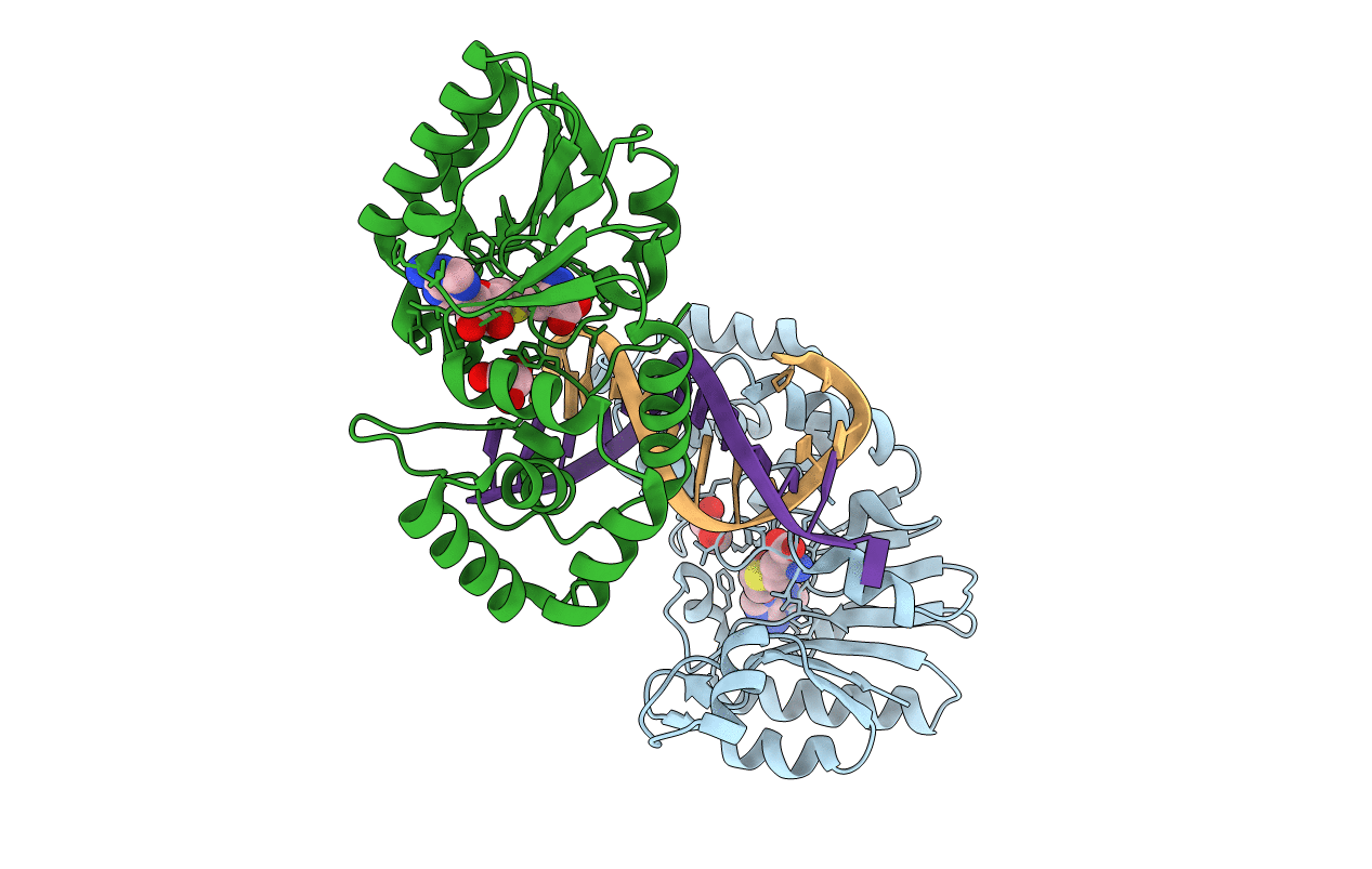 1YF3 image