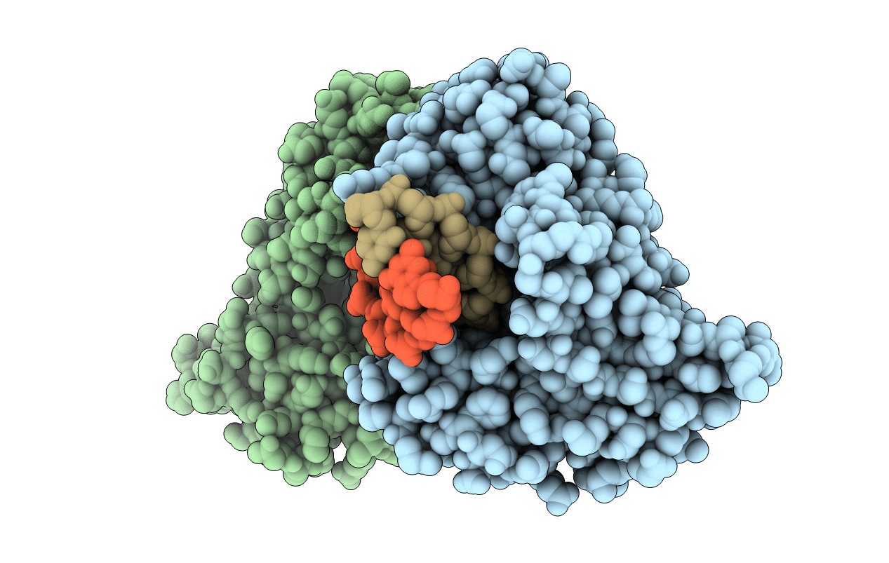 1YFI image