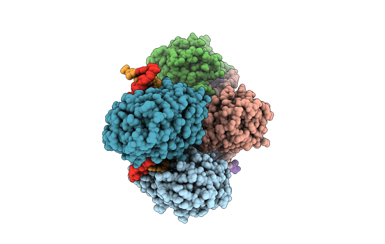 1YFL image