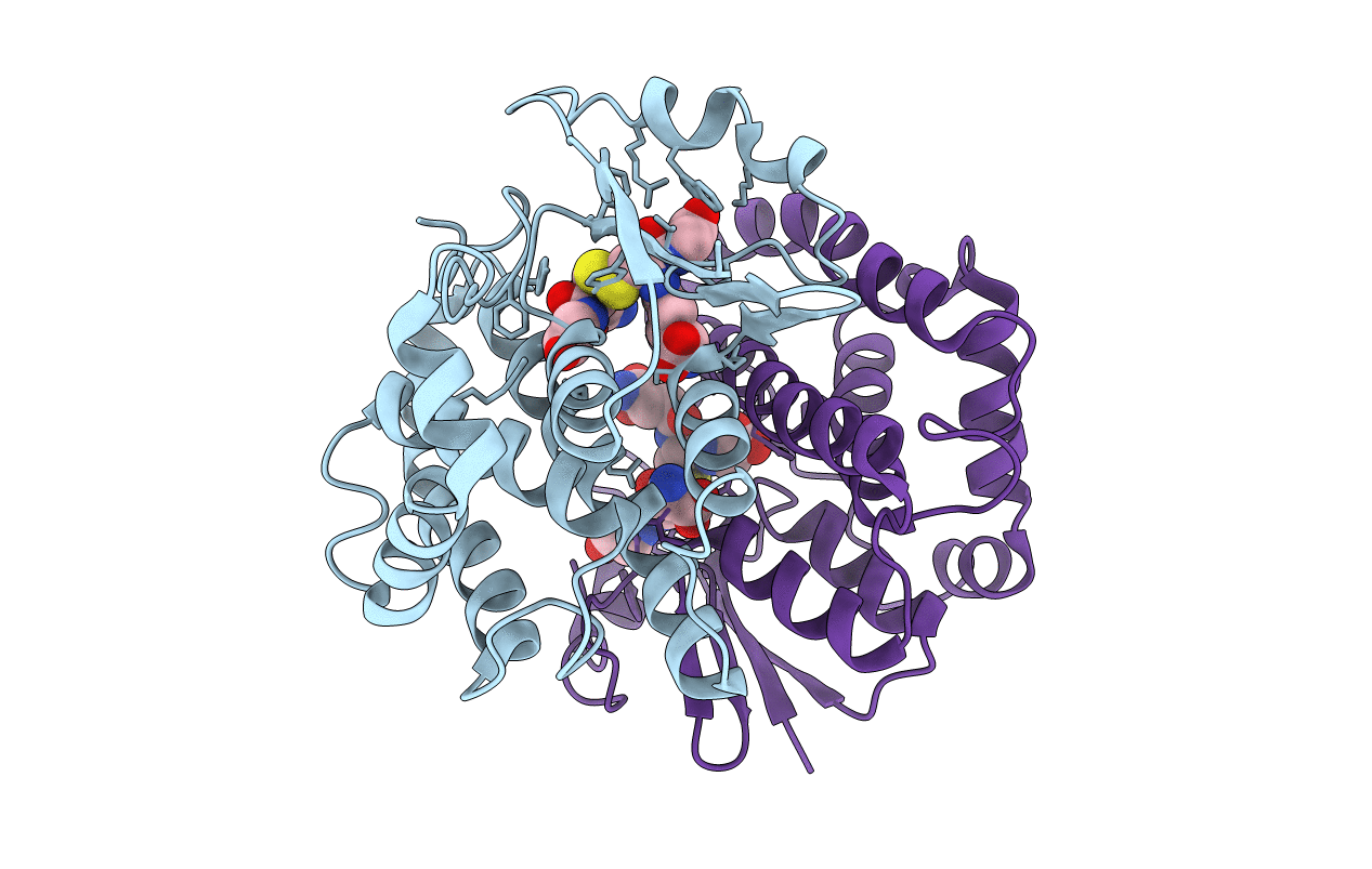 1YKC image