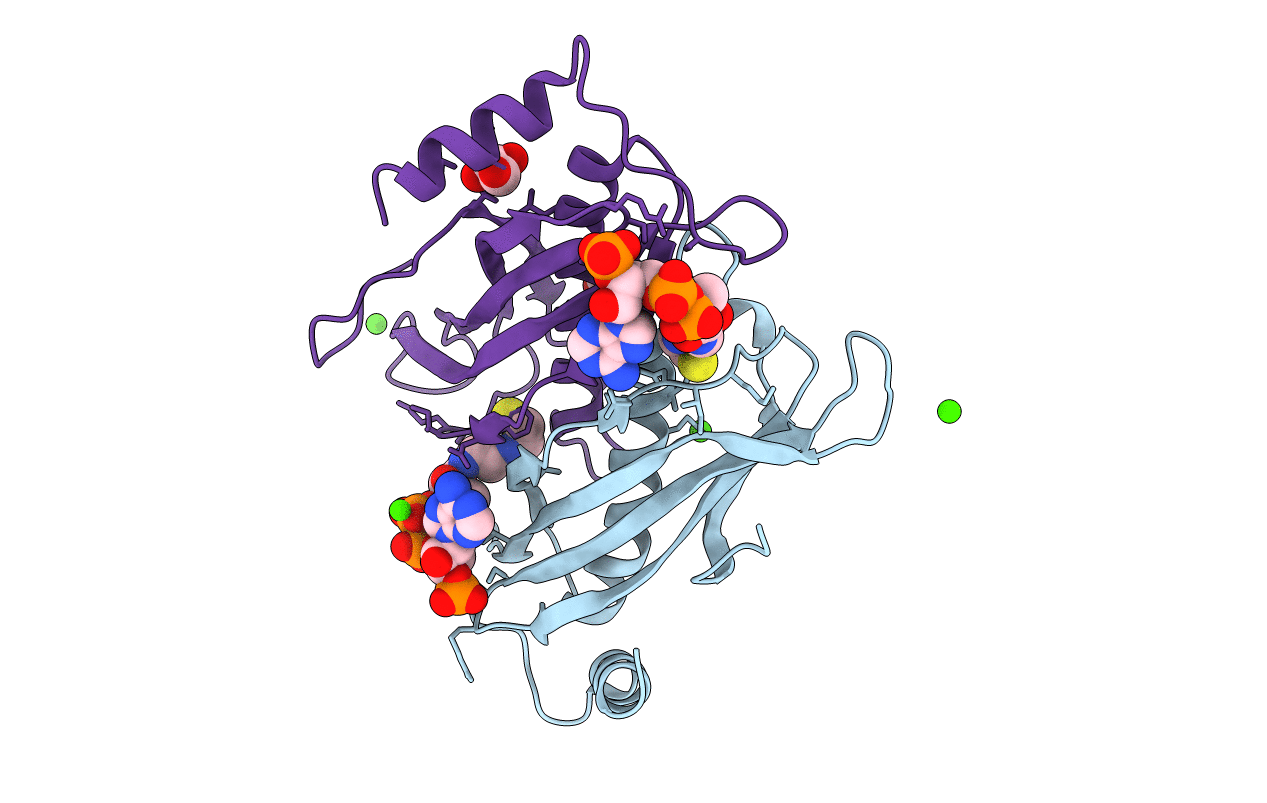 1YLI image