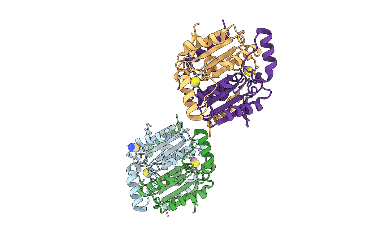 1YLK image