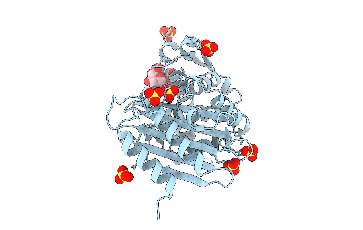 1YLP image