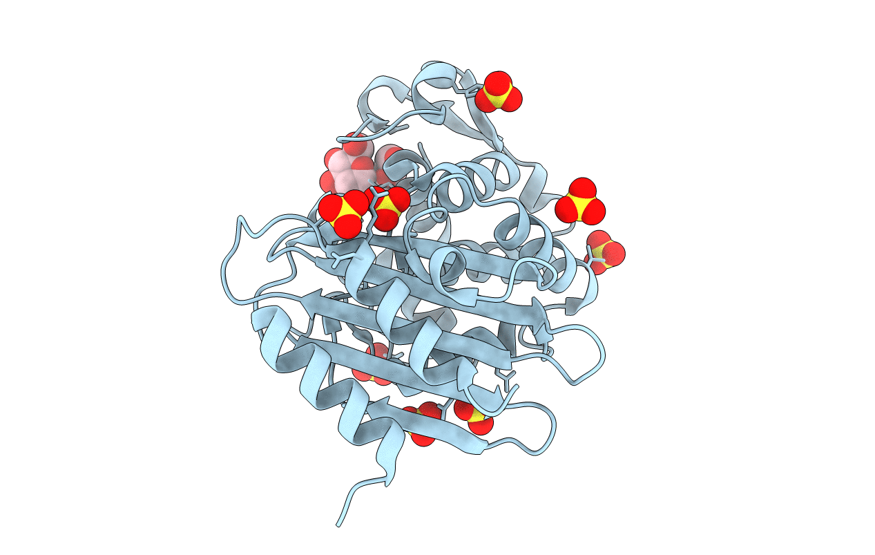 1YLT image