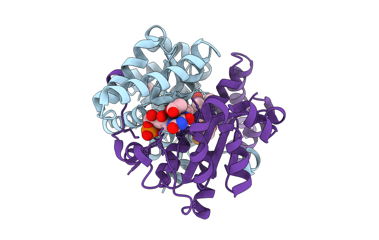 1YLU image