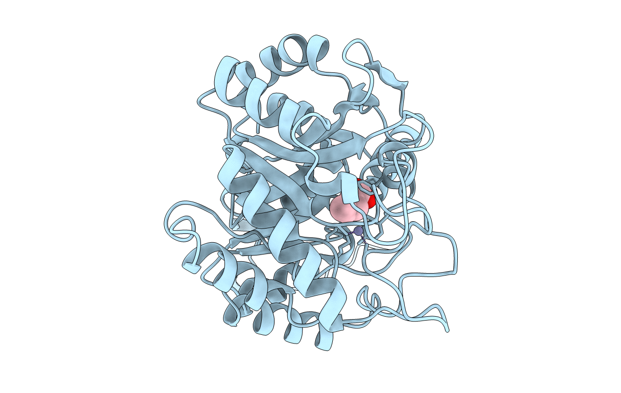 1YLV image
