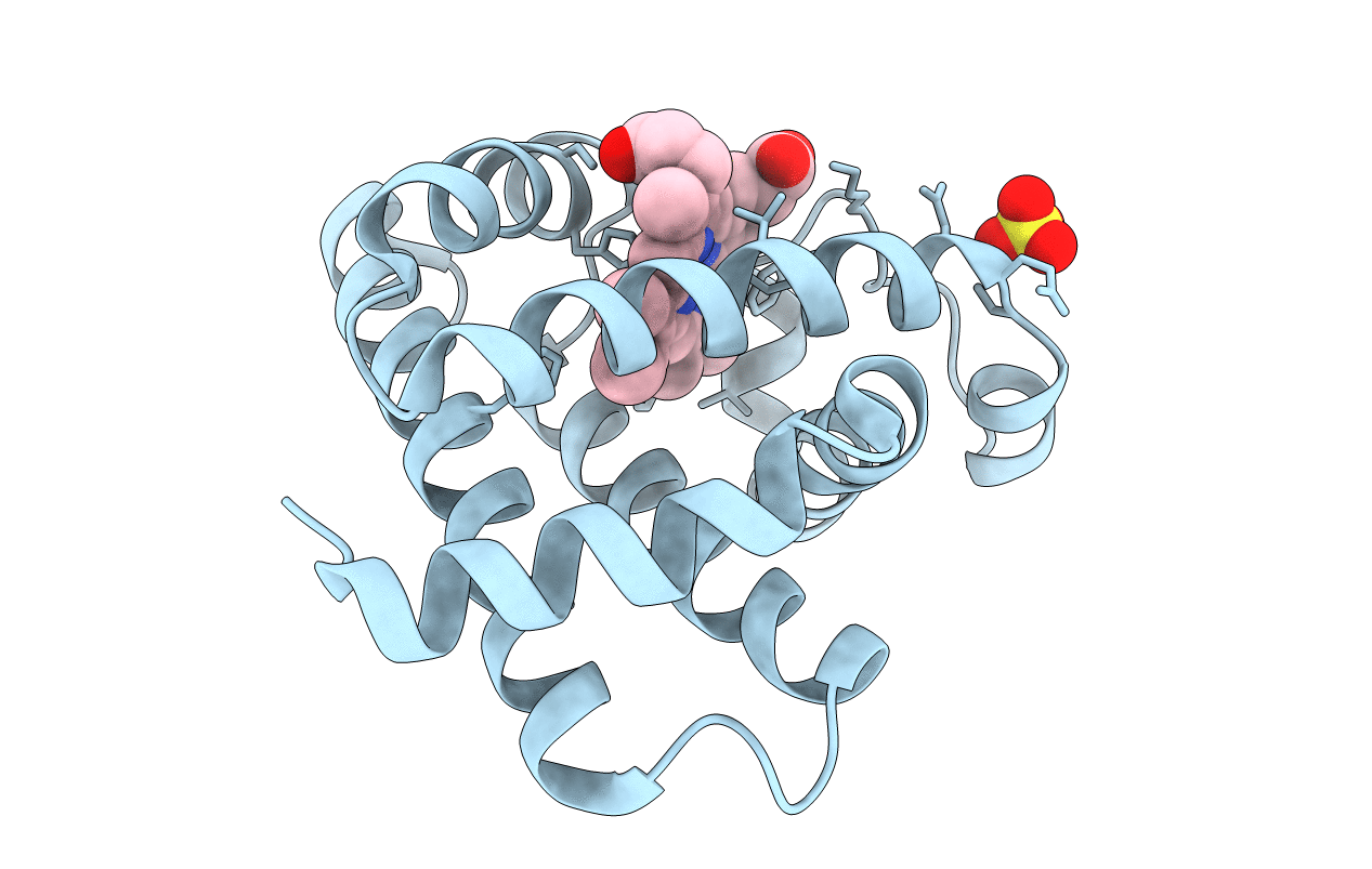 1YMA image