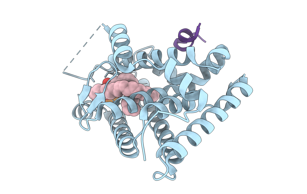1YMT image