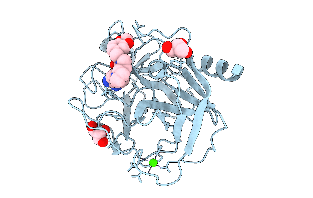 1YP9 image