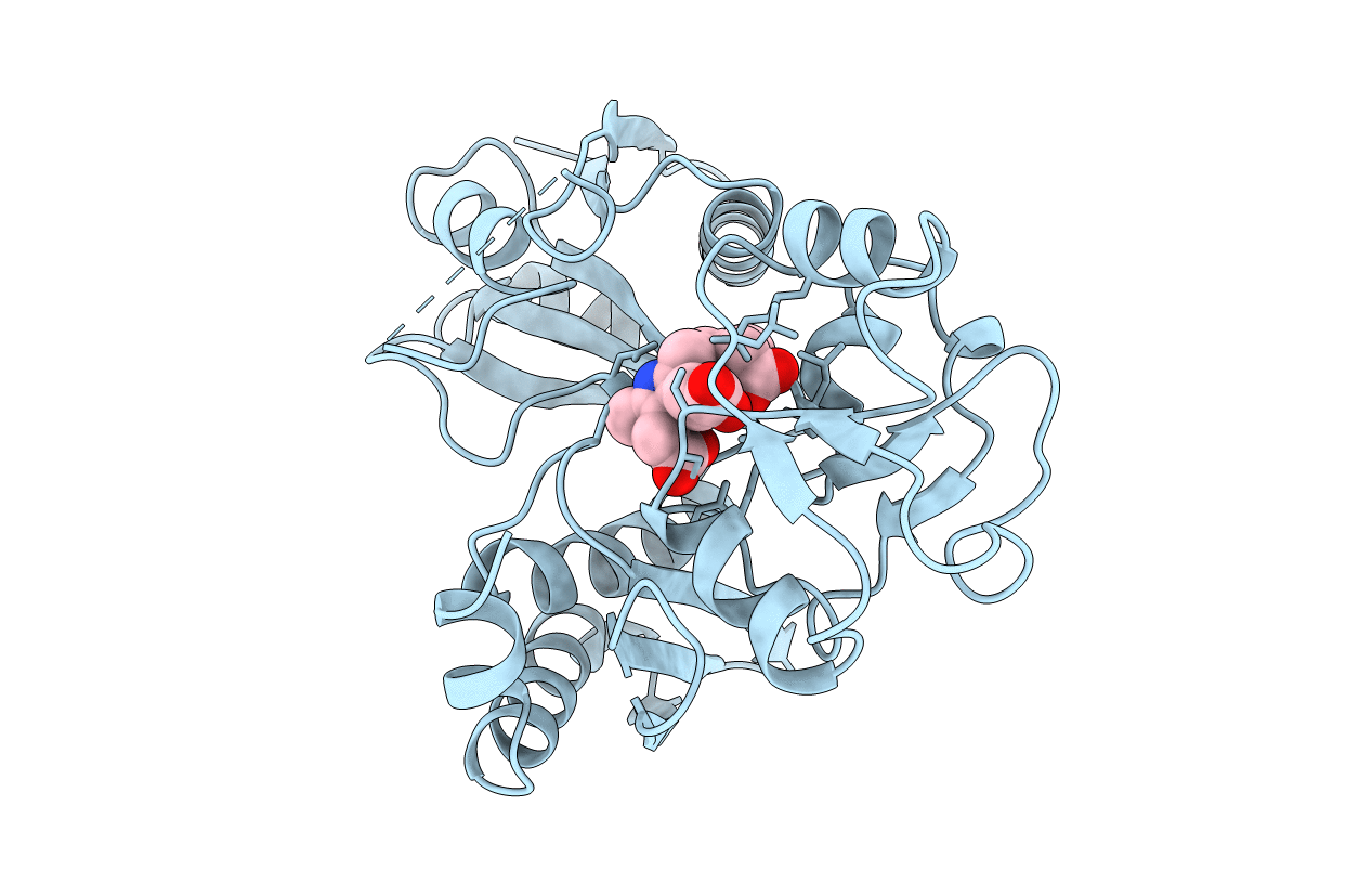 1YPN image